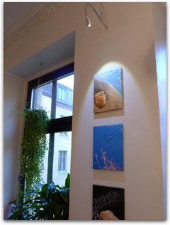 uw-photograps on canvas